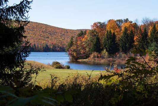 The Laurel Highlands, Home of Highlands Honey Farm